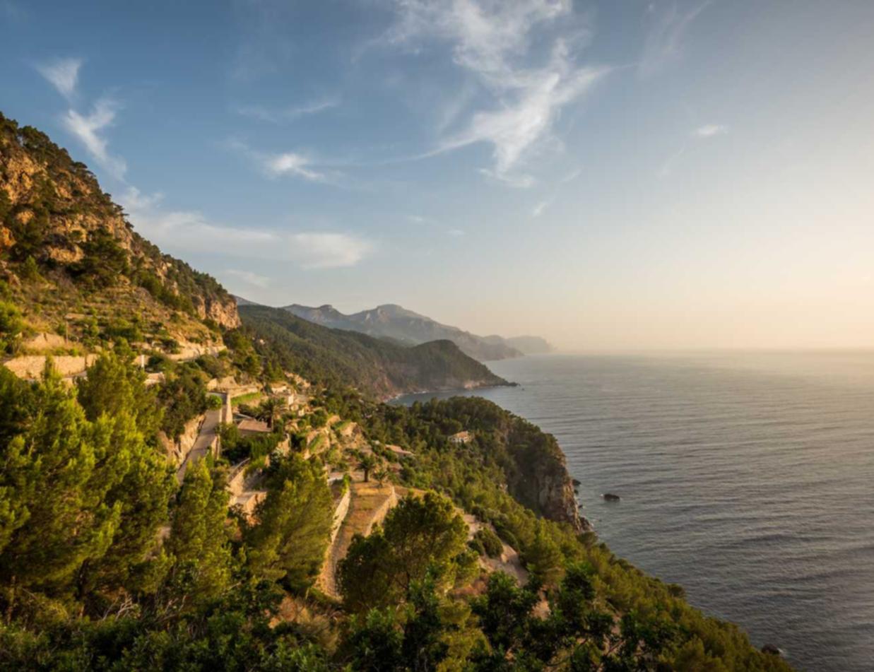 腾讯手机卡实名账号：彩虹直播详情下载教程app