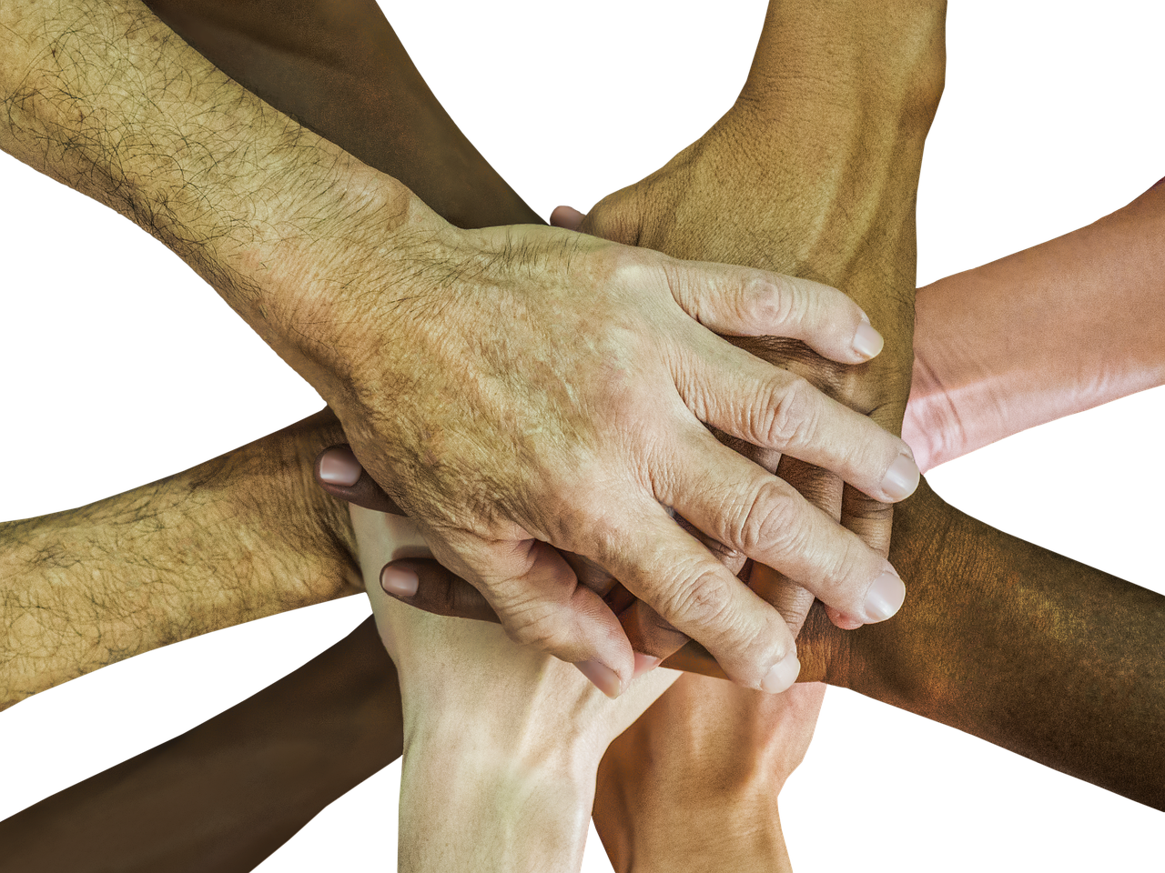 实名手机卡出售：app详情下载教程线下活动