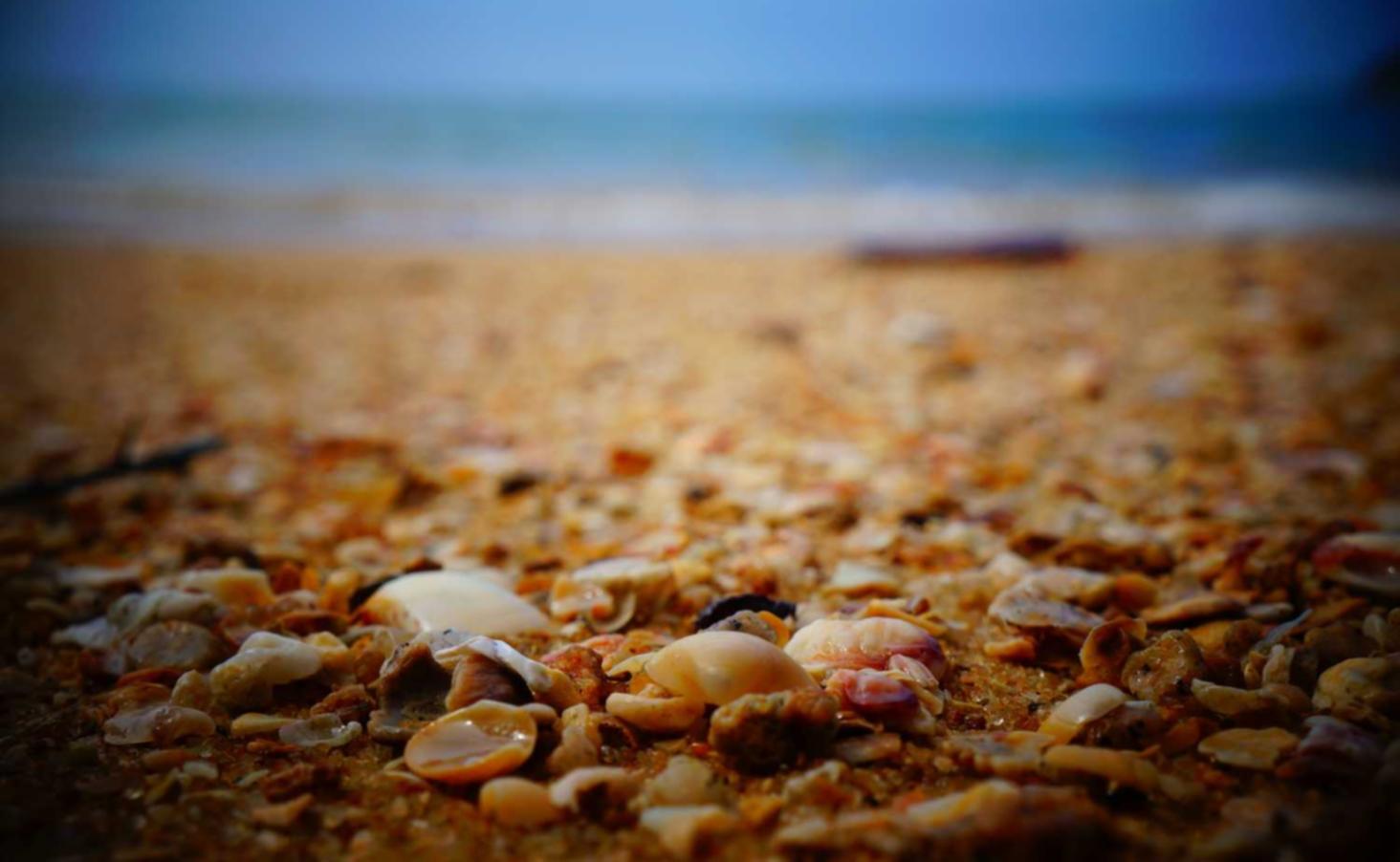 一品传承2ipad原价购买平台