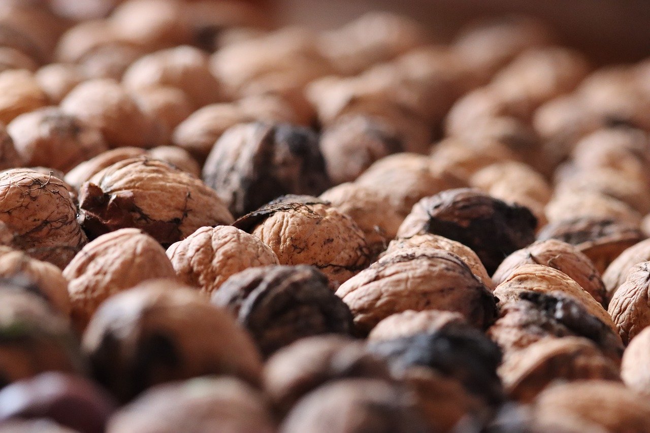 如何使用CRO提高SEO排名